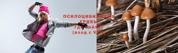 MDMA Premium VHQ Михайловск