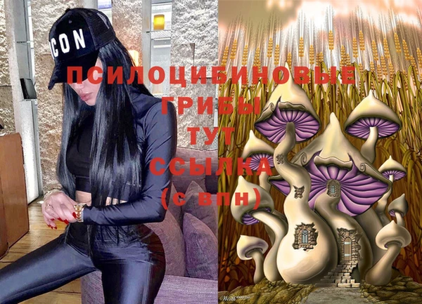 гидропоника Михайлов