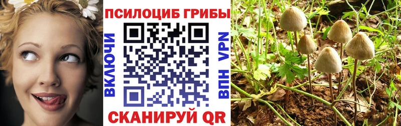 Псилоцибиновые грибы GOLDEN TEACHER  закладки  hydra как зайти  Тетюши 